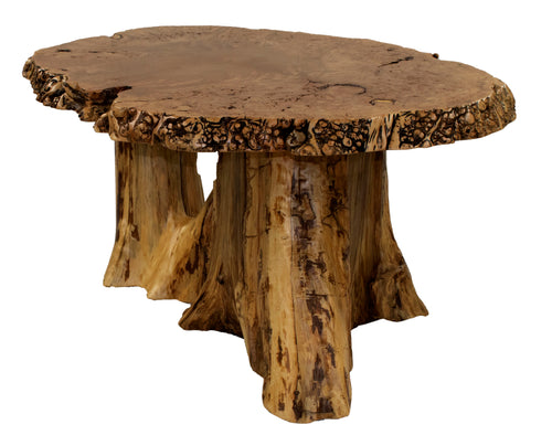 Big Leaf Maple Burl Cedar Stump Coffee Table